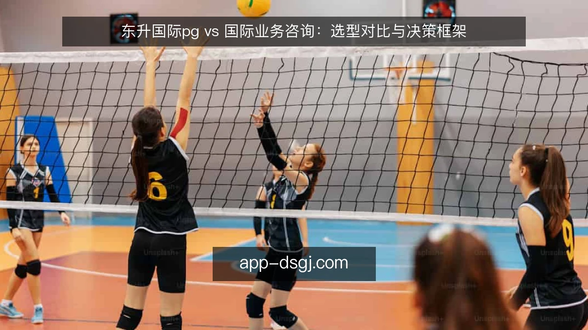 东升国际pg vs 国际业务咨询：选型对比与决策框架