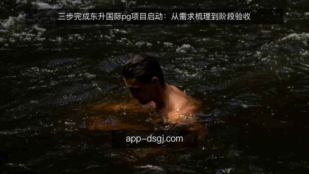 三步完成东升国际pg项目启动：从需求梳理到阶段验收