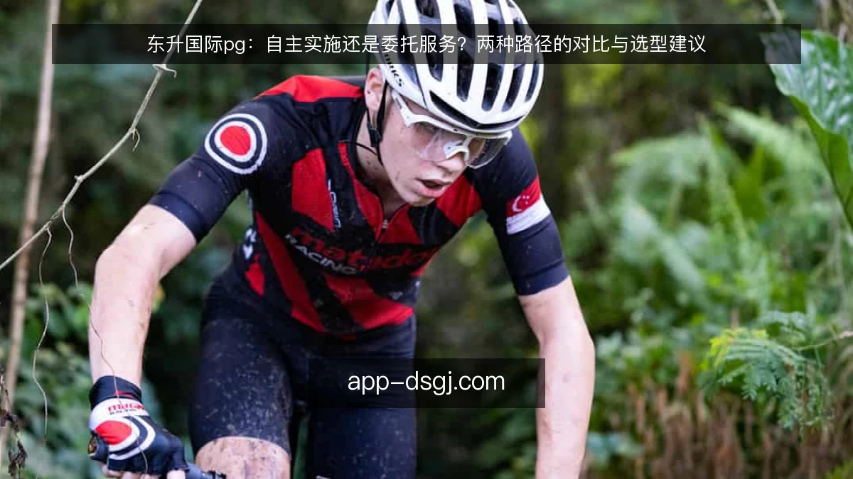 东升国际pg：自主实施还是委托服务？两种路径的对比与选型建议