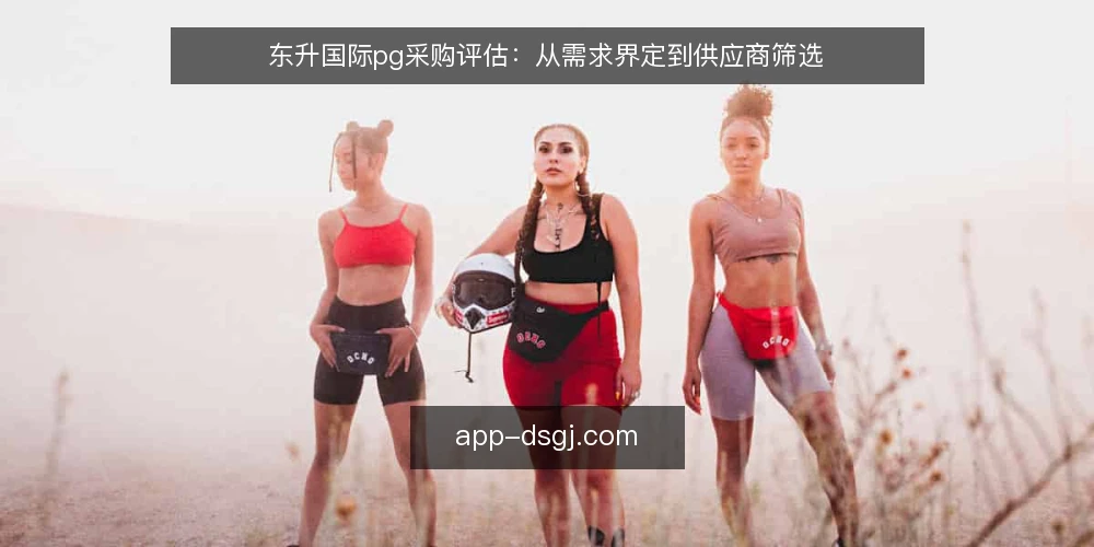 东升国际pg采购评估:从需求界定到供应商筛选 — 明确业务需求与采购范围 配图