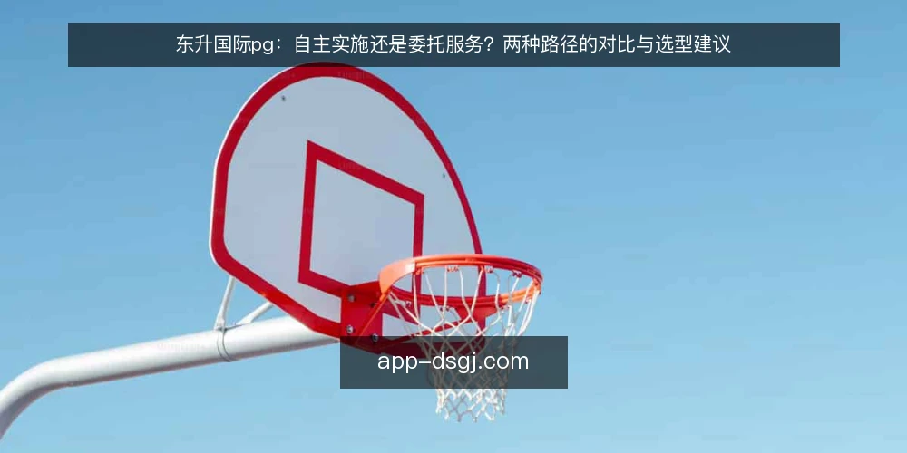 东升国际pg:自主实施还是委托服务?两种路径的对比与选型建议 — 先界定需求:你要解决什么问题 配图