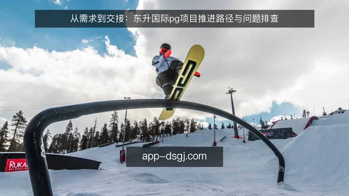 从需求到交接：东升国际pg项目推进路径与问题排查