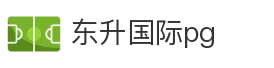 东升国际pg