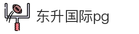 东升国际pg